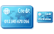 Credit card ICO