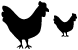 Chicken icons
