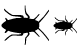 Cockroach icons