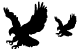 Eagle icons