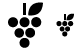 Grapes icons