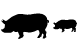 Pig icons