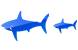 Shark ico