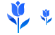 Tulip icons