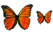 Butterfly icons