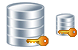 Database security icon