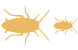 Cockroach icons