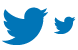 Twitter bird ico