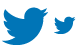 Twitter bird icons