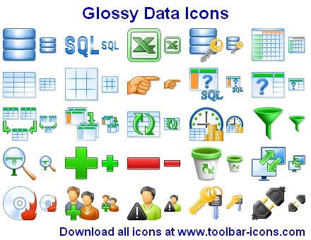 Glossy Data Icons is a high-quality set of pictograms for database software