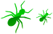 Ant icons