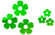 Flowers icons