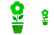 Pot flower ICO