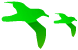 Seagull icons