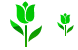 Tulip icons