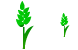 Wheet icons