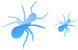 Ant icons