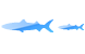 Barracuda icons