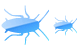 Cockroach icons