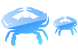 Crab icons