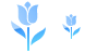 Tulip icons
