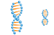 DNA helix icons