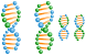 Genetics icons