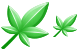 Hemp Leaf icons