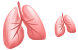 Lungs icons