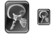 Radiology icons