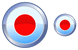 Record button icons