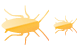 Cockroach icons