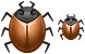 Bug icons