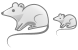 Rat icons
