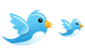 Twitter bird icons