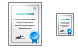 Certificate icons