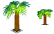 Palm