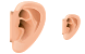 Ear icon