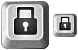 Password icon