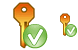 Valid key icon